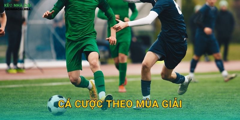 Cá Cược Theo Mùa Giải – Điều Chỉnh Chiến Lược Linh Hoạt Cùng Keo Nha Cai